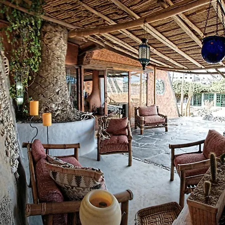 Casa Las Palmeras Holiday home